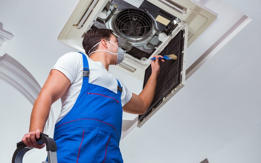 Home Air Filter Tips: Choose, Maintain, Optimize